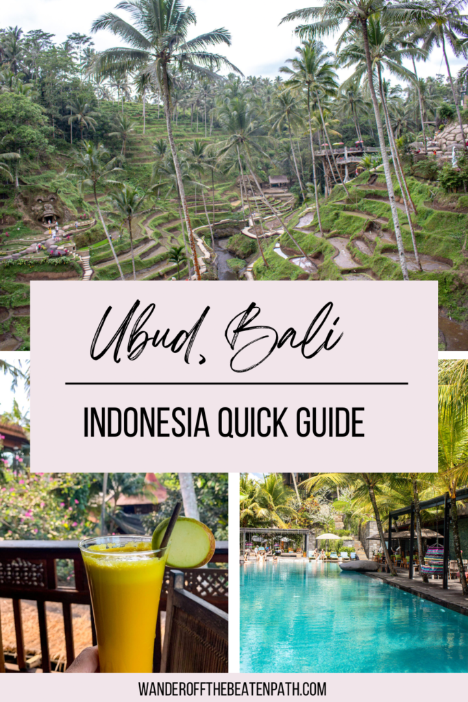 Panoramic views from Ubud, Bali Island, Indonesia including a scenic shot of the rice terrace, an orange juice, and pool with greenery in the background.