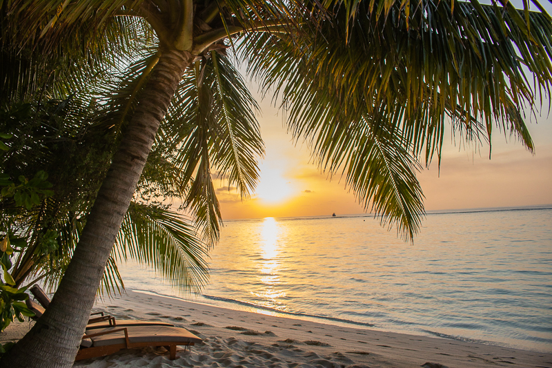 Sunset on the Beach in the Maldives