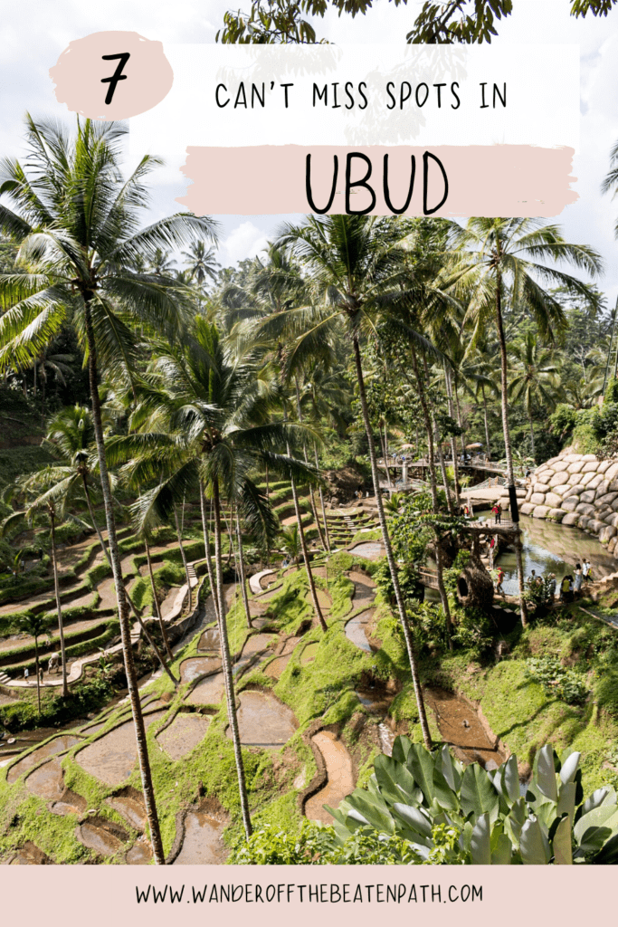 Photo of the Rice Terraces in Ubud. Click here for a list of spots that cannot be missed on a trip to Ubud.