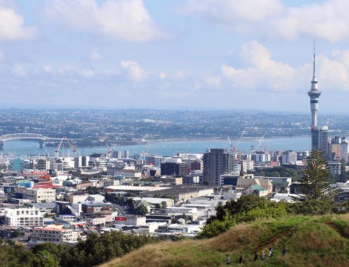 WHAT TO DO IN AUCKLAND