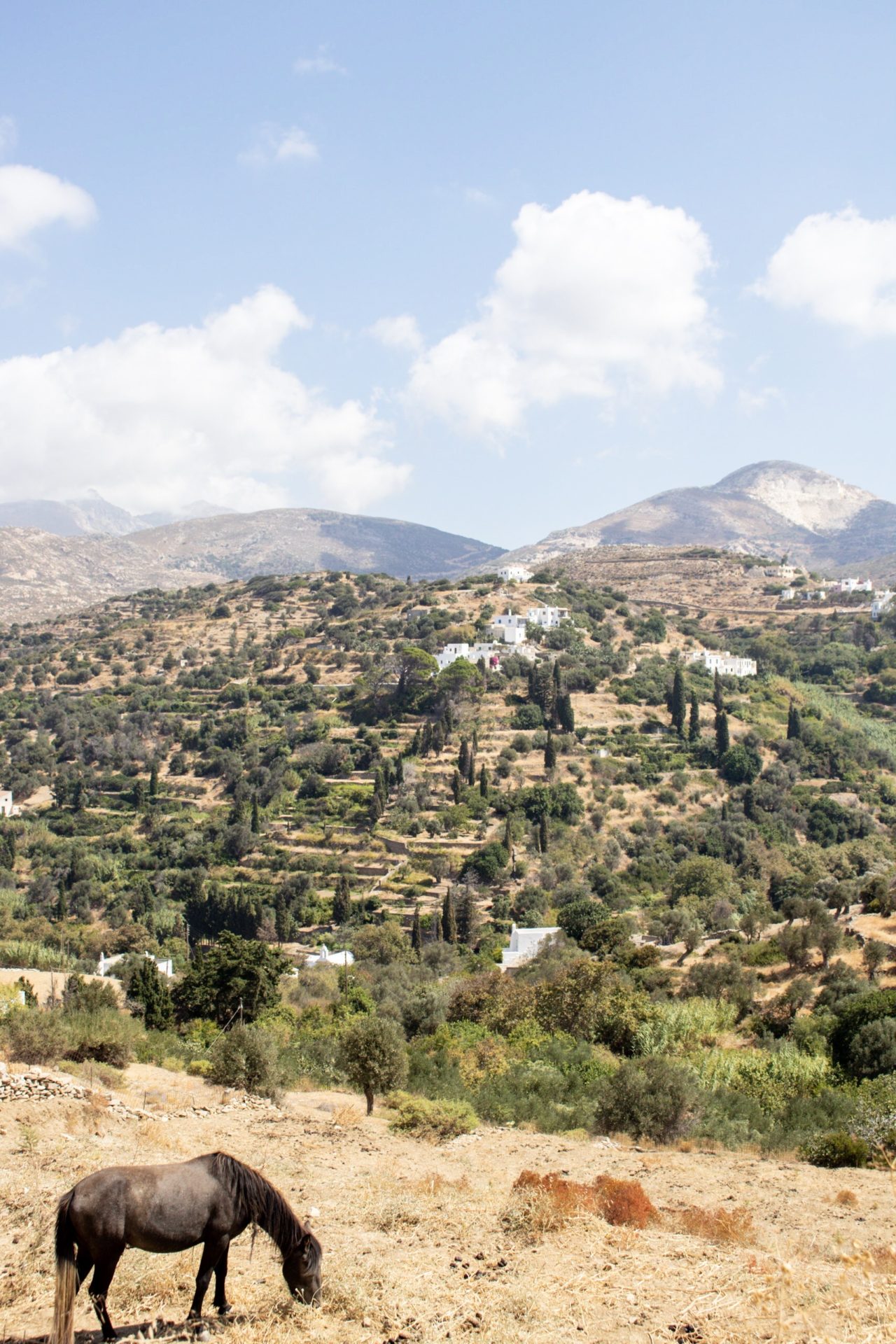 Melanes, Naxos Island, Greece