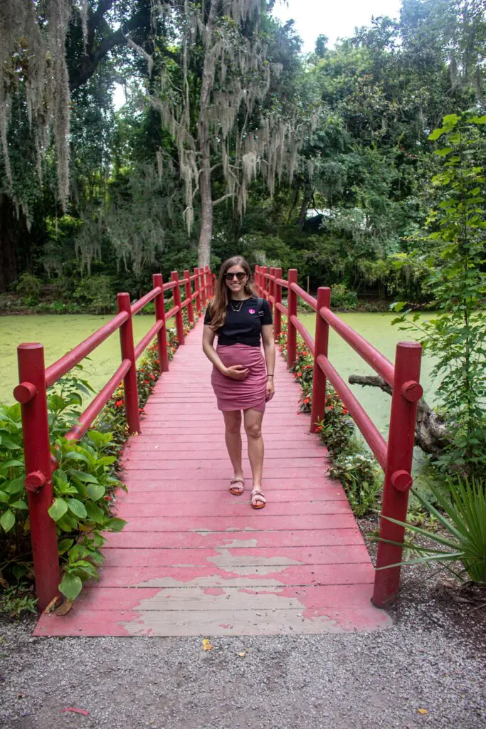 Walking around Magnolia Plantation Gardens in Charleston