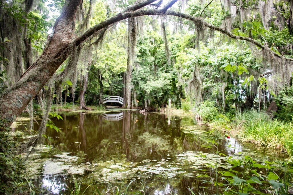 Photo of Magnolia Planation Gardens in Charleston, South Carolina