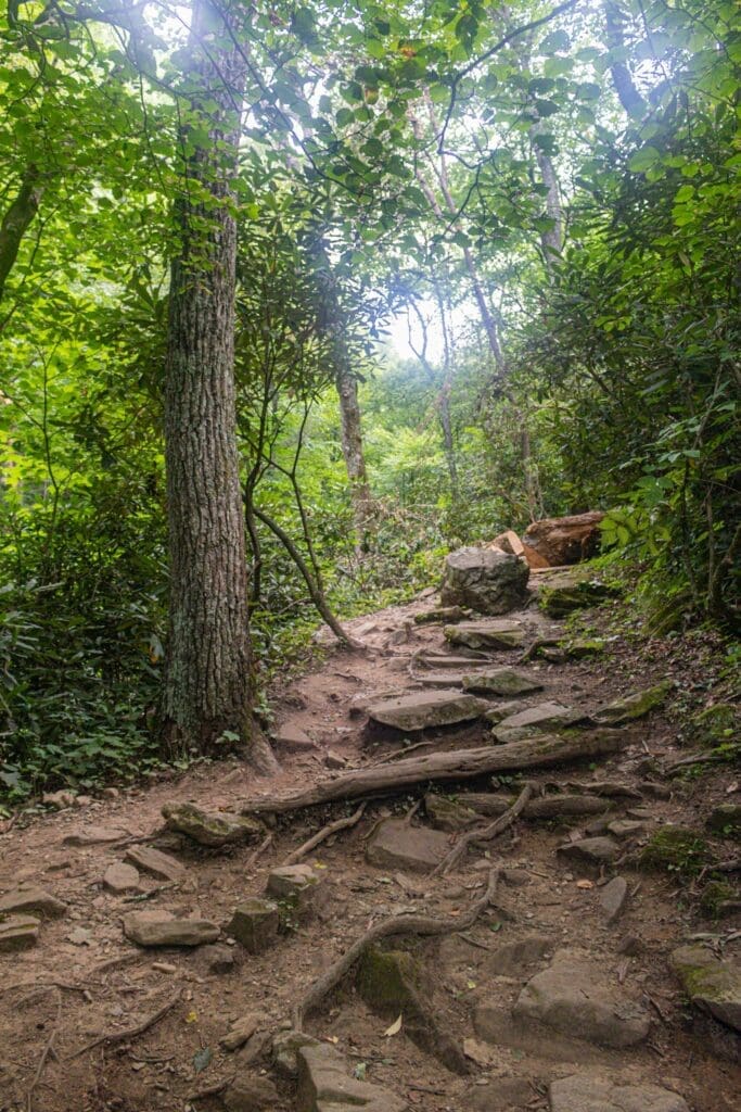 Photo of the Glen Burney Trail