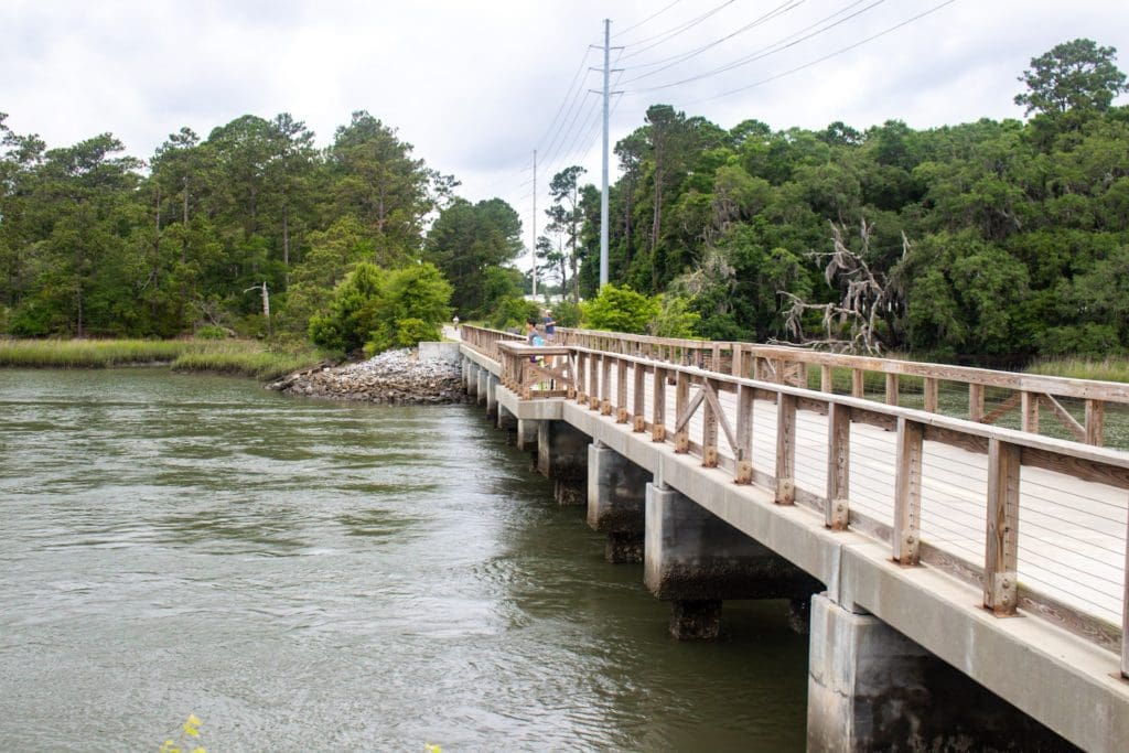 View along the Spanish Moss Trail