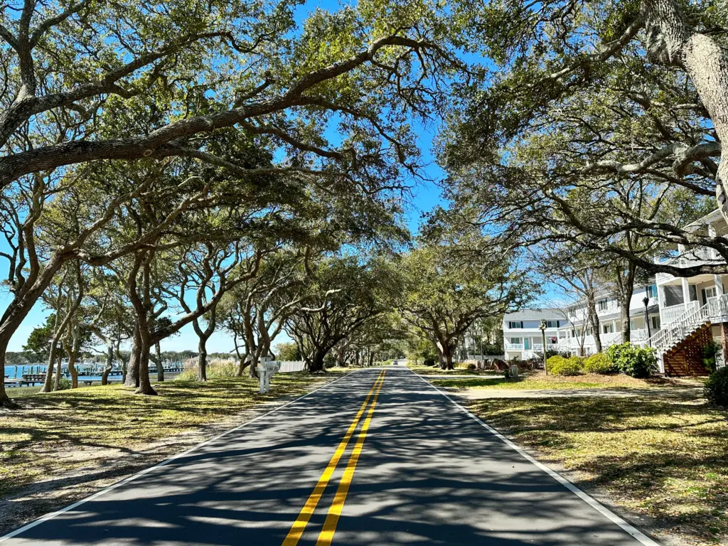 Scenic shot of Front Street with beautiful trees and houses overlooking the water