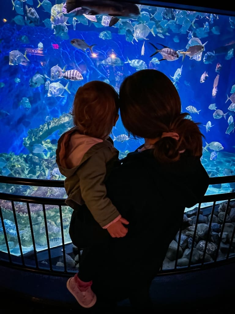 Standing in front of a fish tank at the Pine Knolls Aquarium