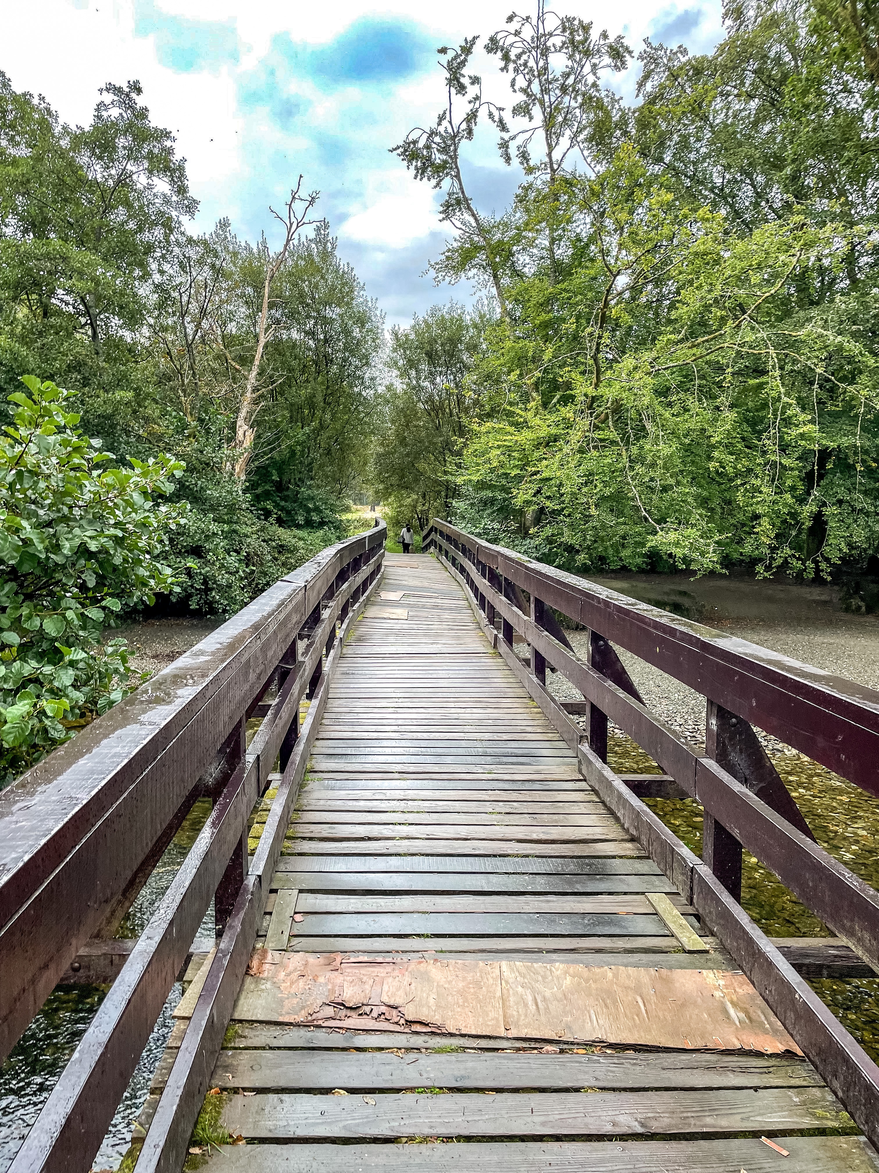 Scenic shot of the walking trails in Luss Scotland