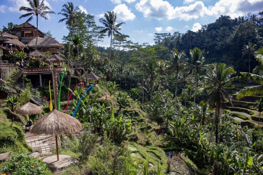 Tegallalang Rice Terrace, Ubud, Indonesia