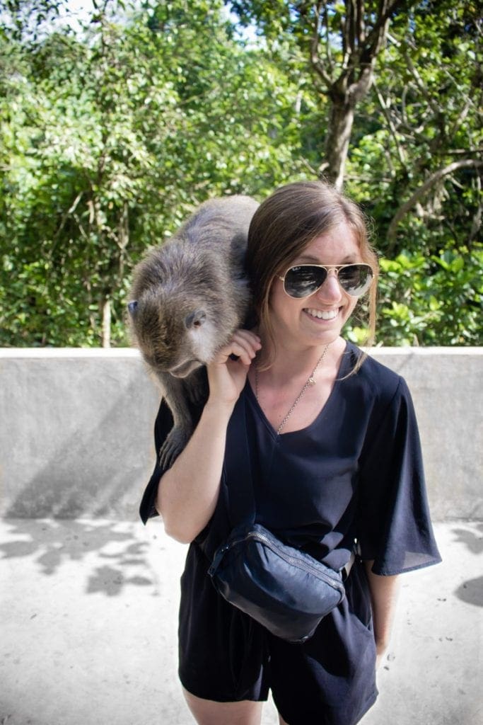 Hanging with Monkey Forest, Ubud, Indonesia