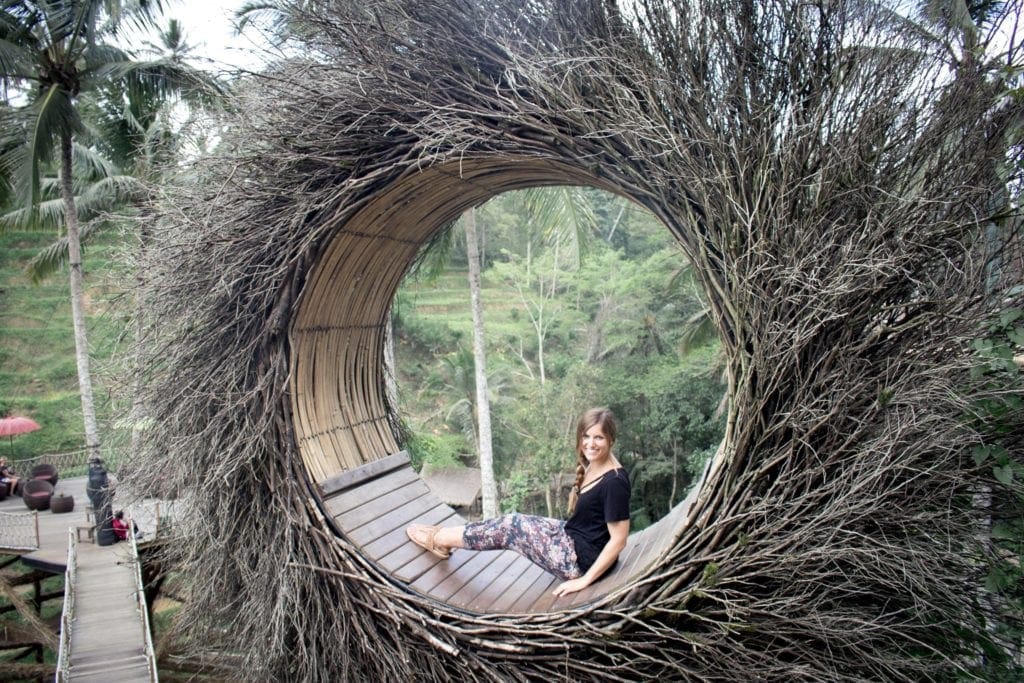 Hanging in the nest at Alas Harum, Ubud, Indonesia