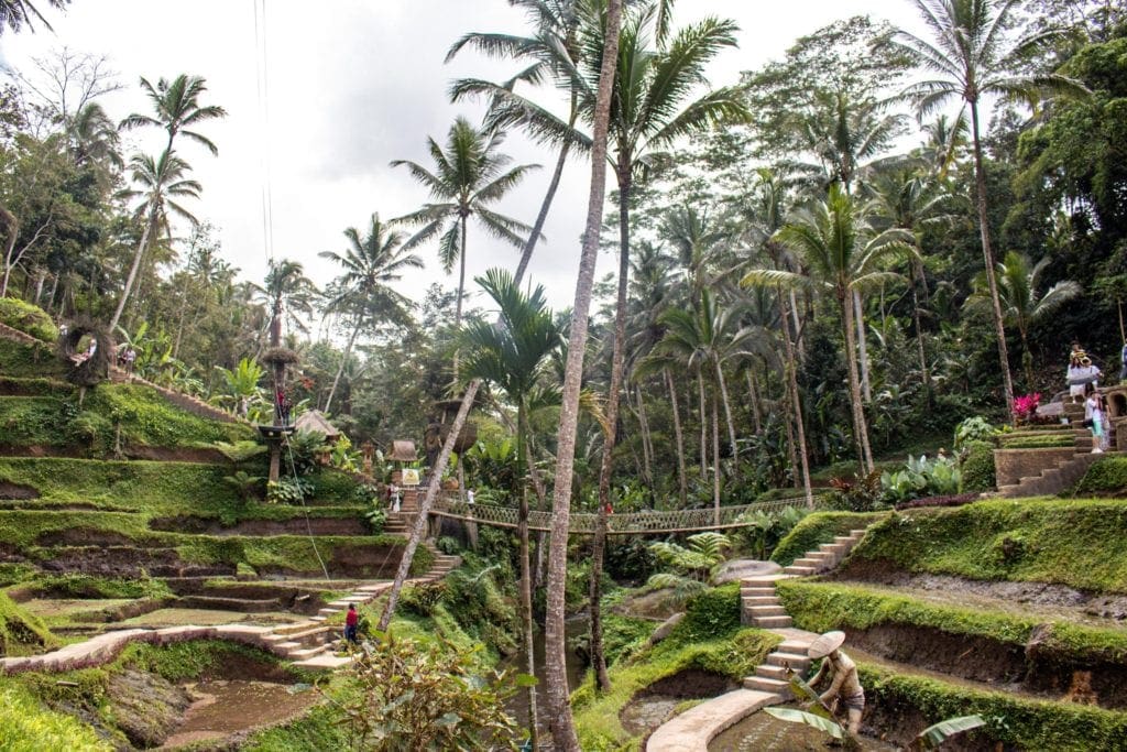 Photo overlooking Alas Harum coffee plantation