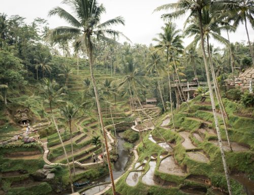 BEST THINGS TO DO IN UBUD BALI