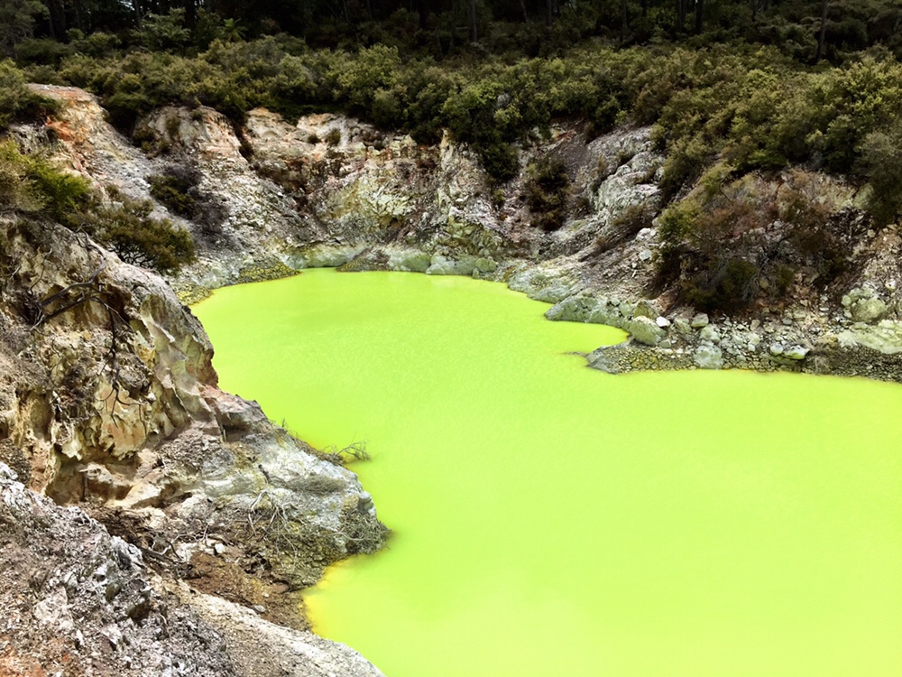 Bright Yellow Pool in Rotorua