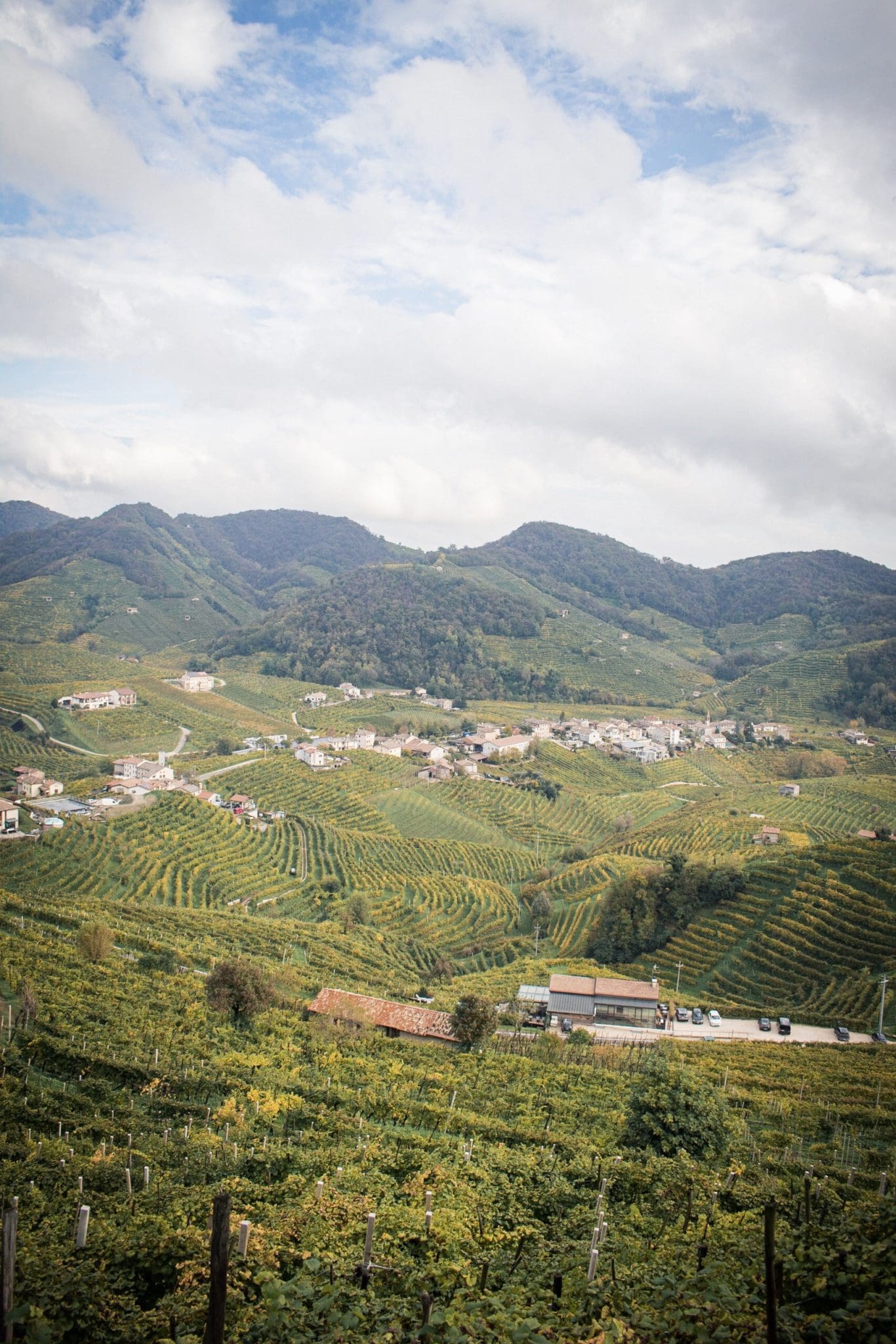 View of the rolling hills in Prosecco, Italy