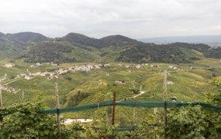 View of the rolling hills in Prosecco, Italy