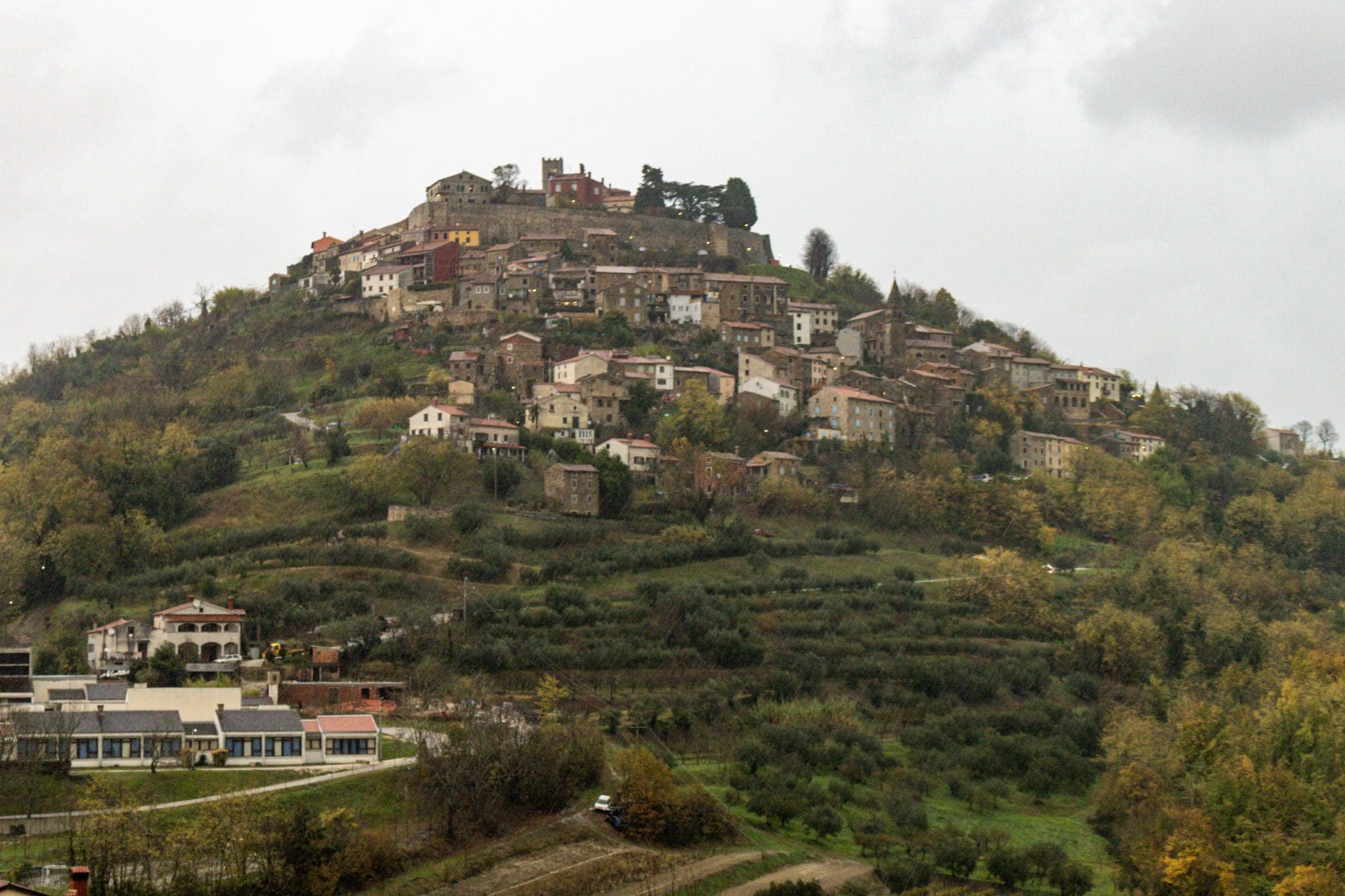 View of the hillside town, Motovun