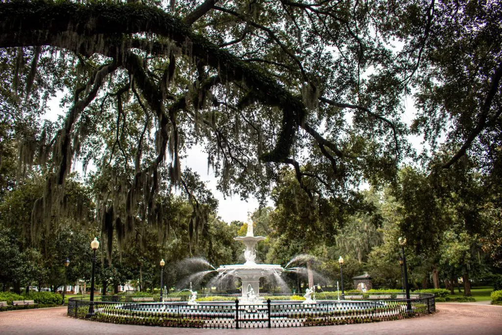 View of Forsyth Park