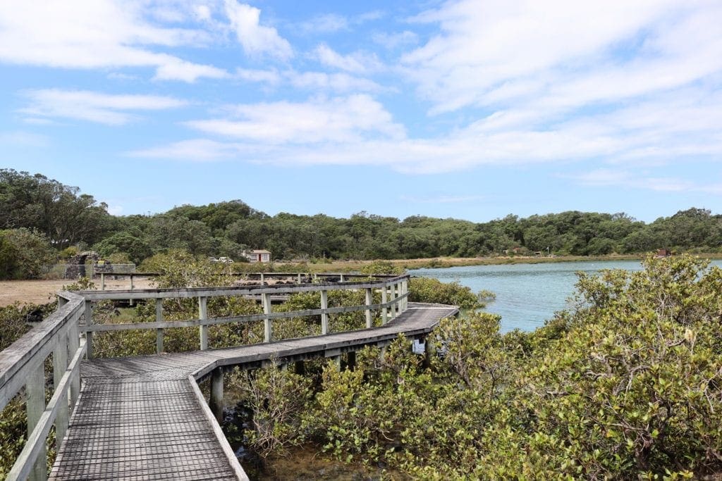 Rangitoto Island, New Zealand