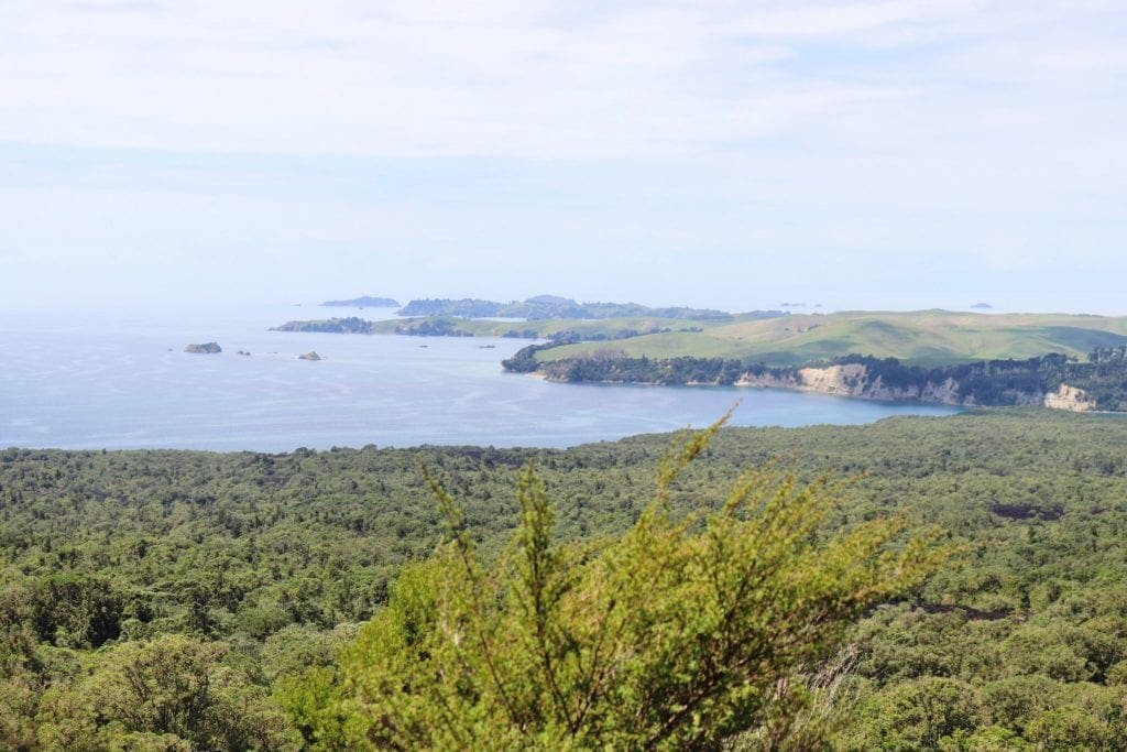 Rangitoto Island, New Zealand