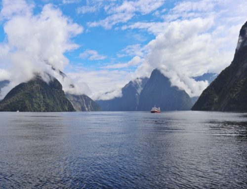 ALL THINGS MILFORD SOUND